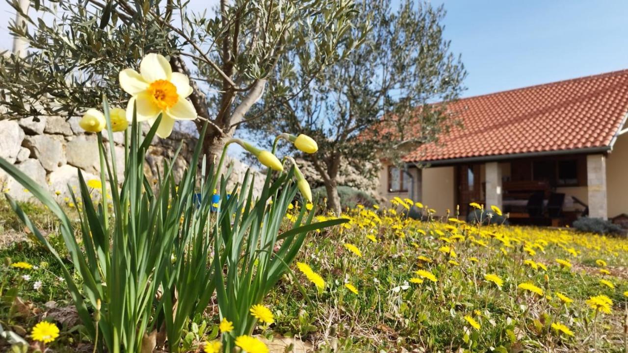 Holiday House Green Dream Obrovac Esterno foto